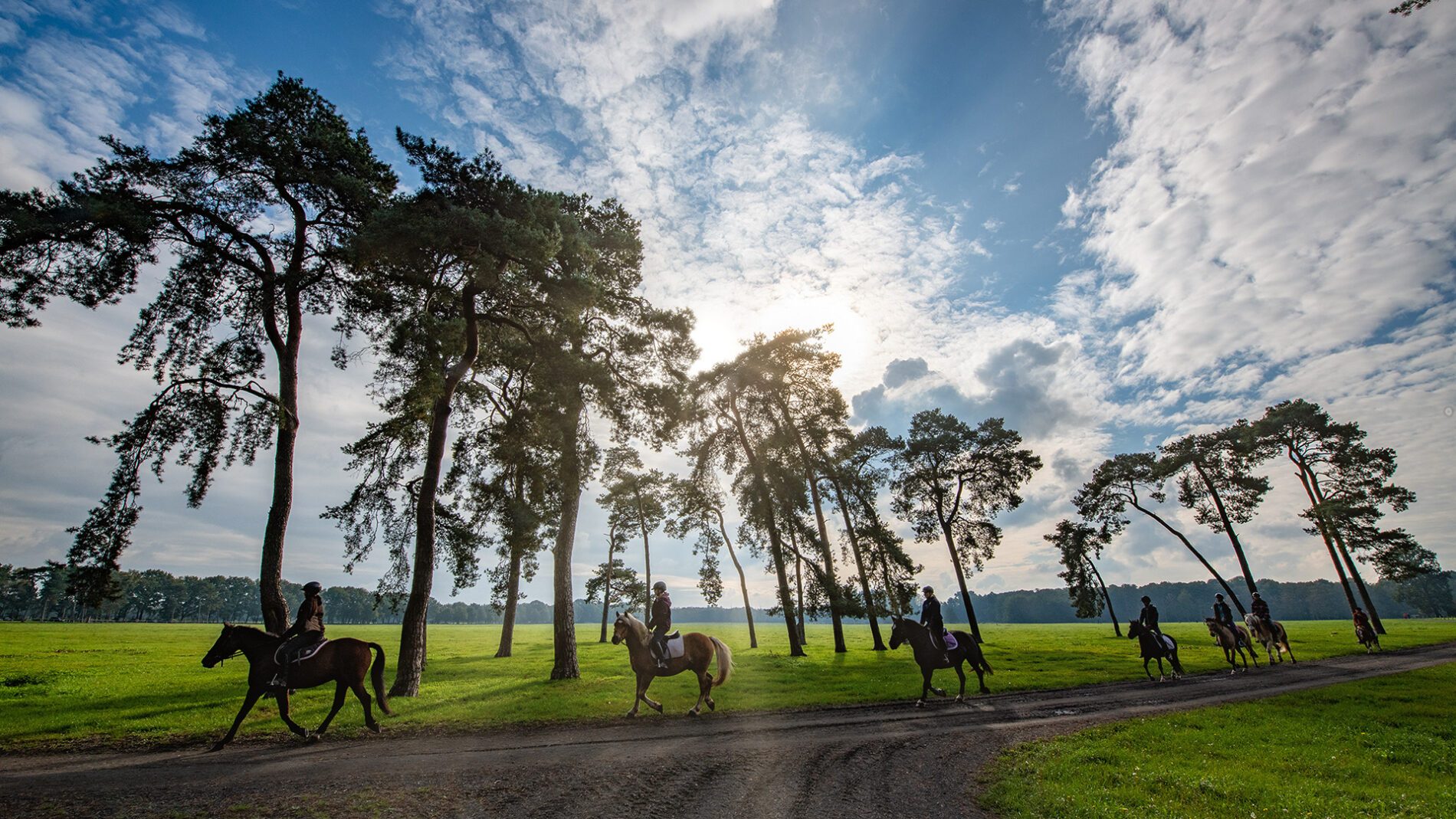 campingplatz-brockmuehle-reiten