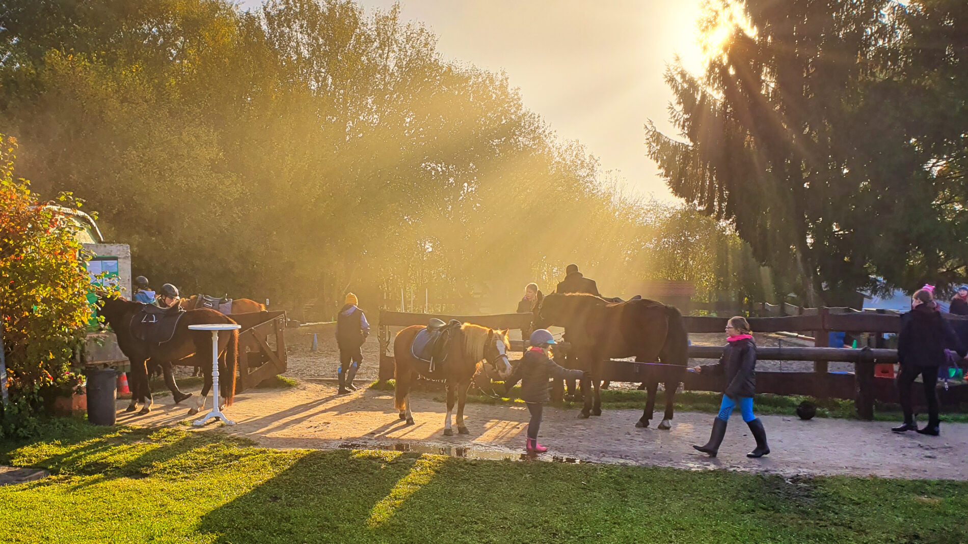 Reitplatz_Sonne