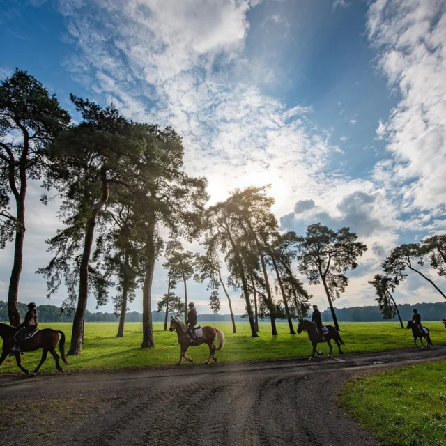 Ausritt zu den Dülmener Wildpferden 🐴

Danke an @lichtschacht_07 für diese atemberaubenden Aufnahmen 💪
#wildpferde 
#brockmühle 
#camping