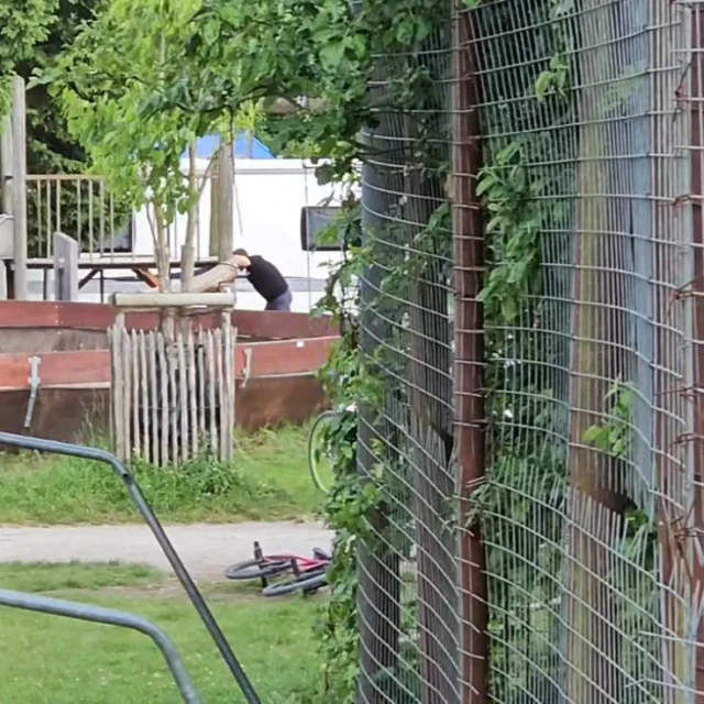 Saison 2025 Impression !! Das war ein unvergesslicher Sommer.
Weißt du noch.....