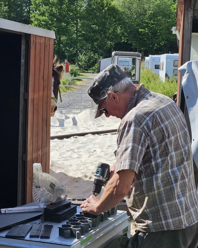 Suchbild: Wer findet Topur?

Impression vom Paddockbau