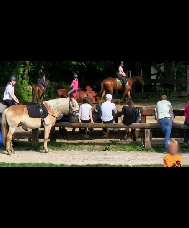 Hier möchte ich eine häufig gestellte Frage beantworten:

Können meine Mädchen mit Sicherheit bei ihnen reiten wenn wir nur für ein Wochenende kommen? Oder sind die Reitstunden dann schon ausgebucht?

Ja sie können sicher sein das ihre Mädchen am nächsten Tag oder noch am gleichen Tag reiten können.
Wir bieten Reitunterricht nach Bedarf an.
Sobald sie angereist sind können sich die Mädchen  in die aushängen Reitpläne eintragen. 
Dabei müssen sie ihr Können selbst einschätzen und die Gewichtsempfehlungen bitte beachten.
Die Reitpläne hängen im Schrankenbereich neben dem Sanitär Damen in einem Schaukasten
Genaue Informationen zu den einzelnen Reitstunden hängen direkt neben den Plänen.
Wenn die Mädchen am Anreisetag noch reiten wollen dann müssen sie direkt zum Reitplatz kommen( wo der Tagesaktuelle Reitplan hängt) dort tragen sie sich ein oder fragen die Reitlehrerin wo noch ein Platz zum reiten frei ist.
Wir versuchen ständig alle Wünsche zu erfüllen was uns meistens gelingt wenn wir( Reileherer) davon wissen